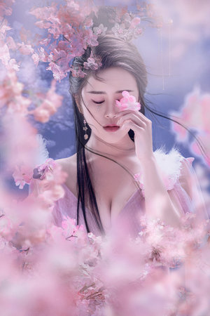 侍卫把贵女怼树干